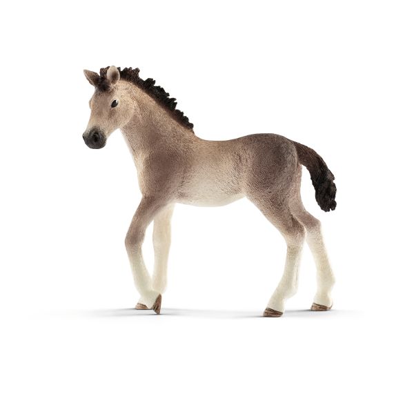 POTRO ANDALUZ (CABALLO)